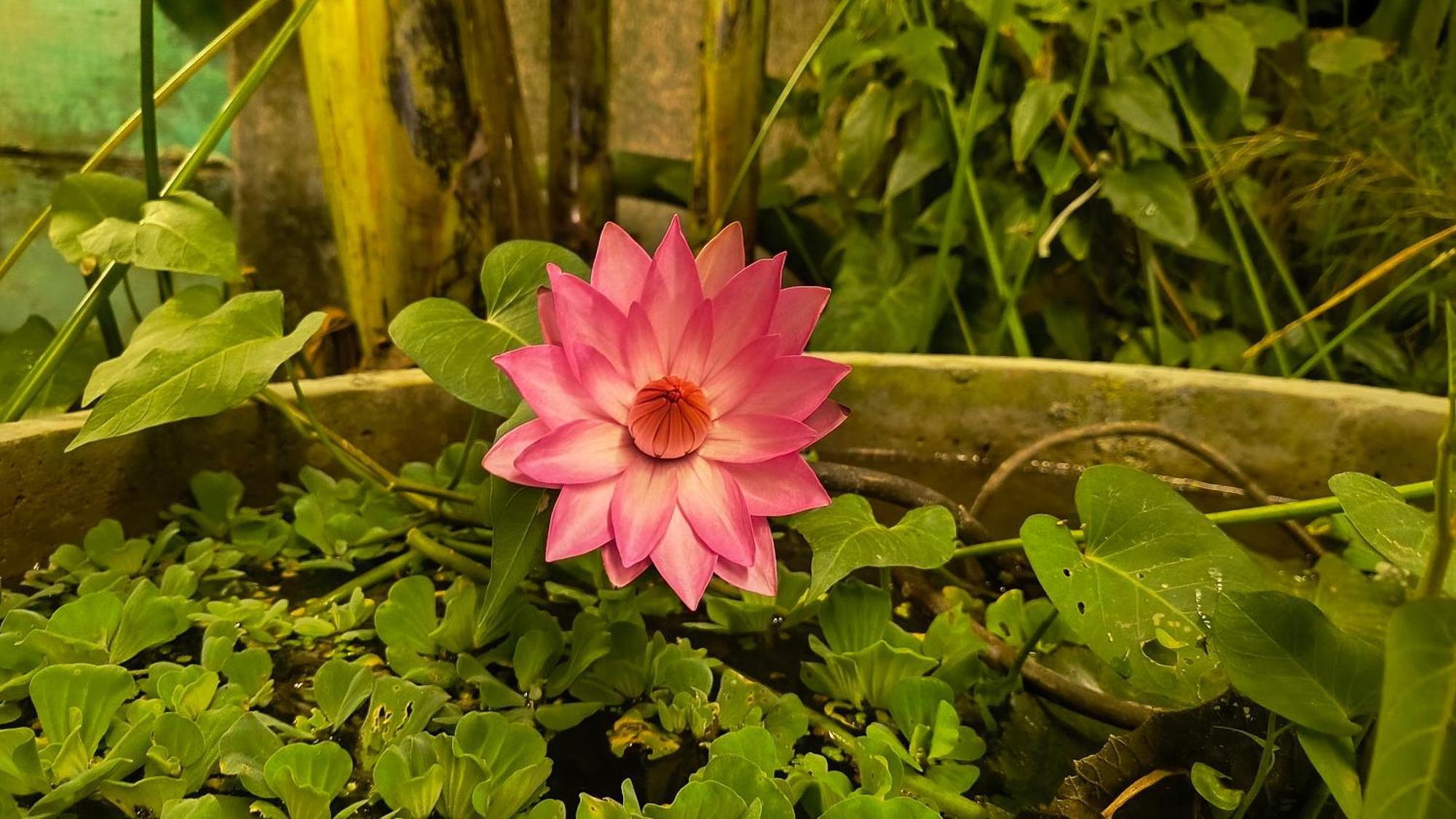 Gt Guest House Virāmpattinam 外观 照片